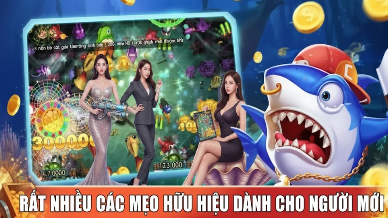Những Mẹo Bắn Cá Không Lỗ Vốn – Bảo Toàn Ví Tiền Của Bạn Tại 8xbet