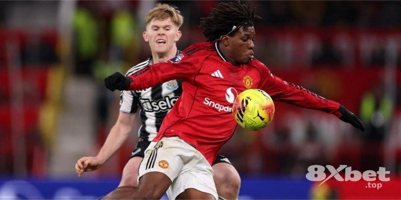 8xbet - nhà cái b52