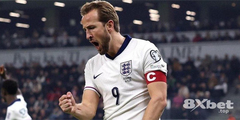 8XBET - jun88 live casino