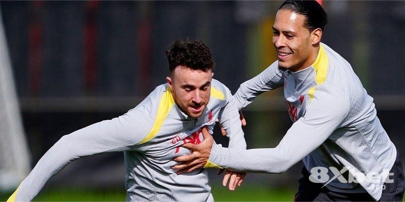 8XBET - hi88 uy tín không