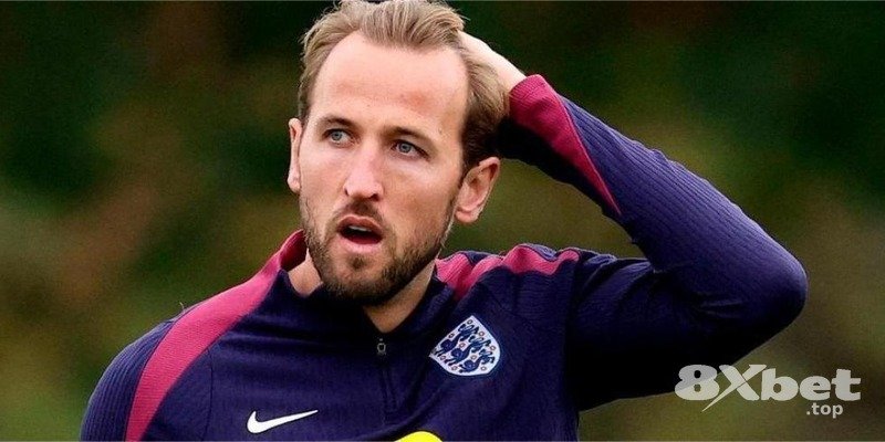 8XBET - nhà cái bomwin