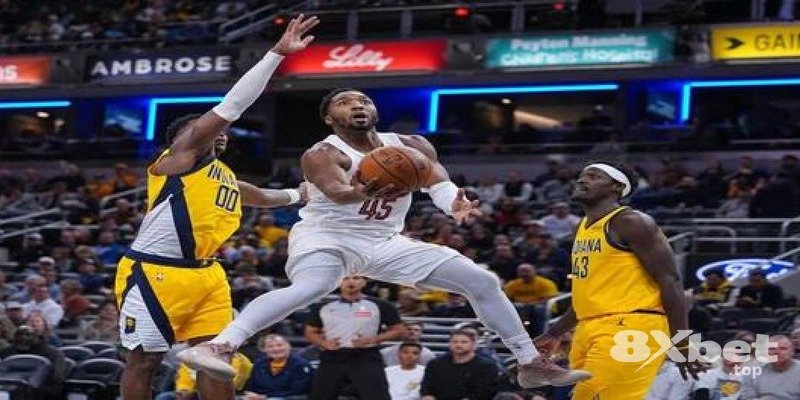 8XBET - shbet khuyến mãi 8XBET - shbet khuyến mãi