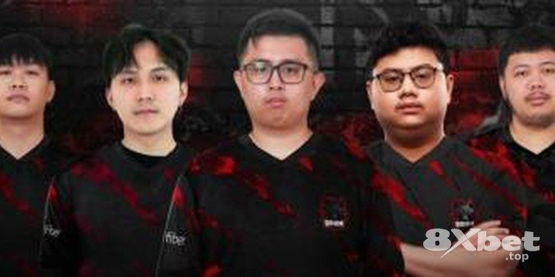 8XBET - vé world cup 2026