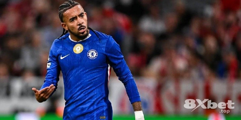 8XBET - bỉ world cup 2026