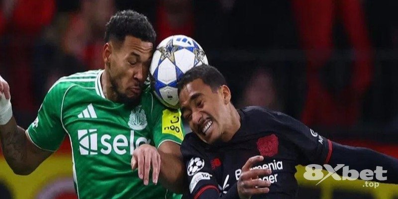 8XBET - link manclub mới nhất