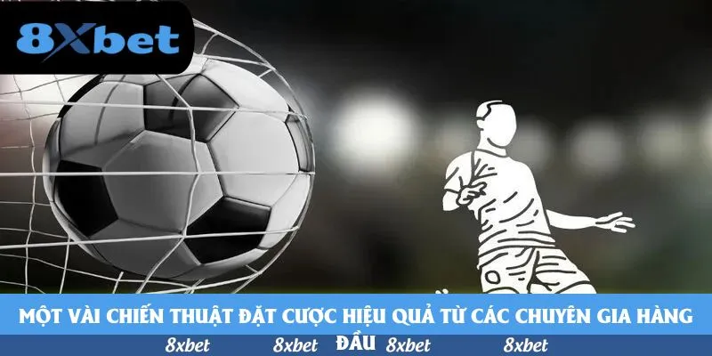 8XBET - xoilac tv trực tiếp