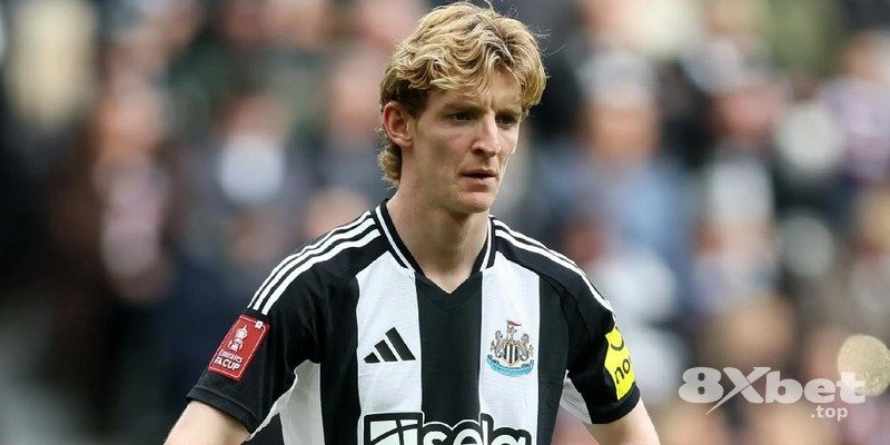 8XBET - f8bet nạp tiền momo