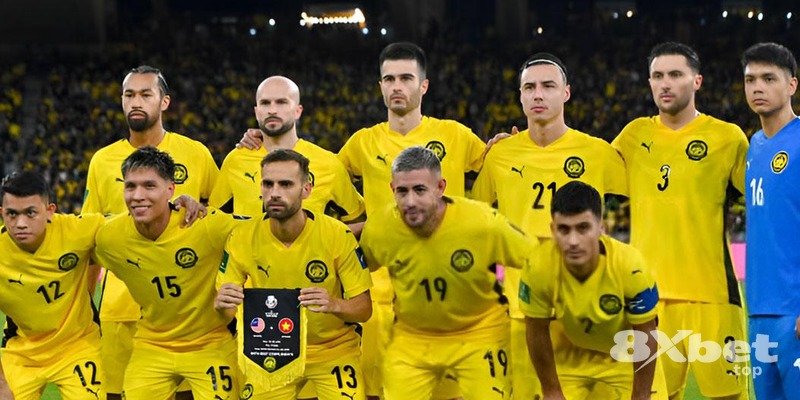 8XBET - đăng nhập haywin