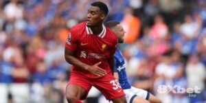 Giải pháp tối ưu cho người chơi tại new88vip