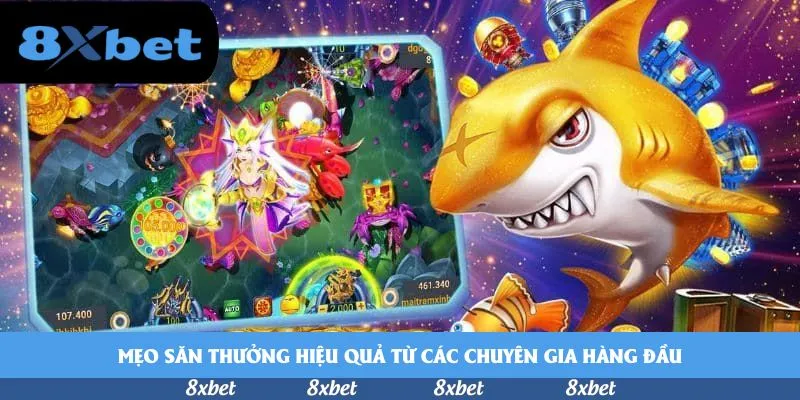 8XBET - may88 bị chặn vào bằng cách nào