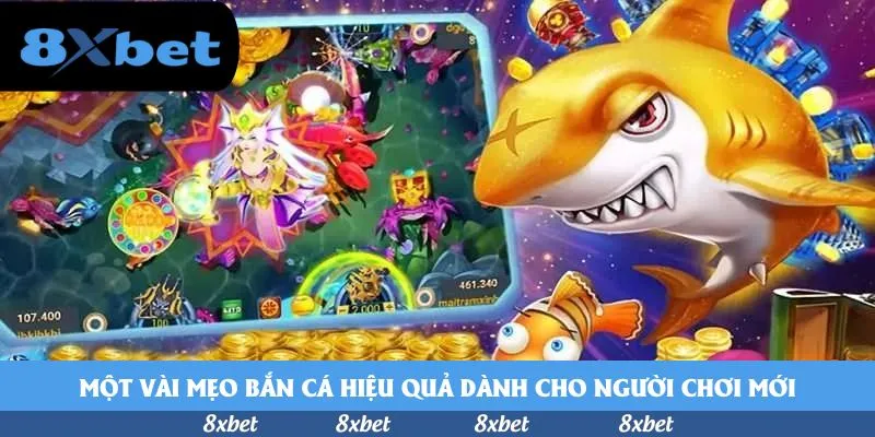 8XBET - iwin nạp thẻ cào