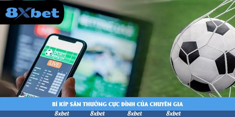 8xbet - link one88