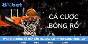 Đánh giá toàn diện 1xbet hoàn trả: Có gì đặc biệt?